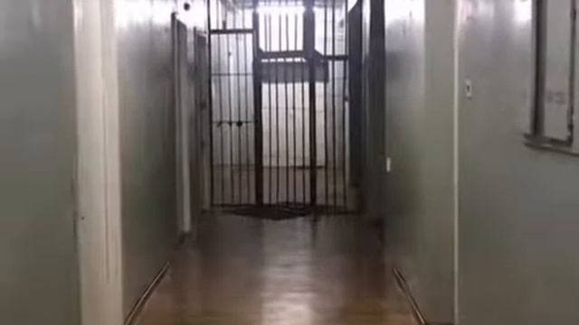 Боткинская больница (Санкт-Петербург)