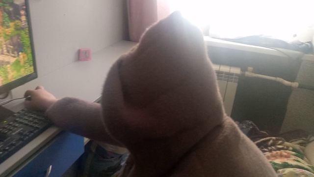 VID_20230110_122653.mp4