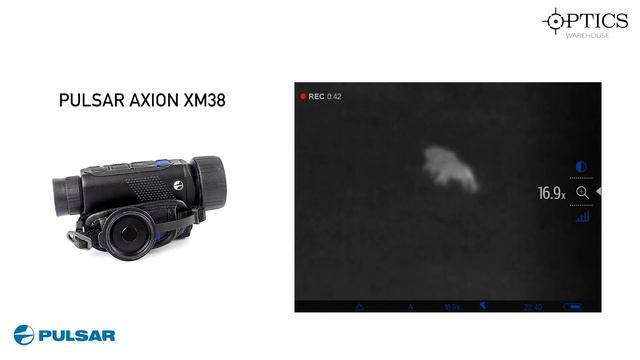 2019 Pulsar Thermal Imaging Range - Narrated Demonstration смотреть онлайн