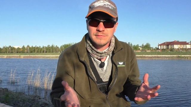 Что за наросты на рыбе? Нерест рыбы смотреть онлайн