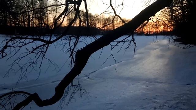 VID 20220331 192653 Открытие Америки. Песнь первая (Н. Гумилёв)...Павел Васильев Лахтинский смотреть онлайн