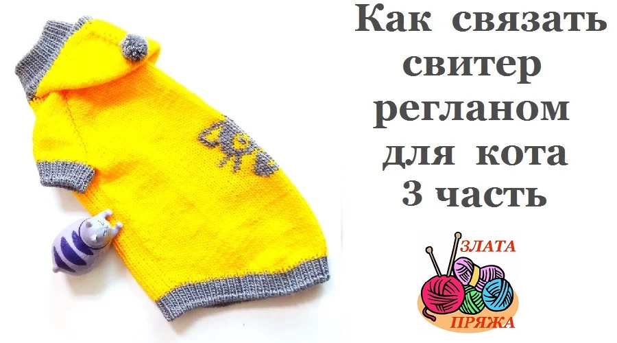 Как связать свитер регланом для кота 3 часть