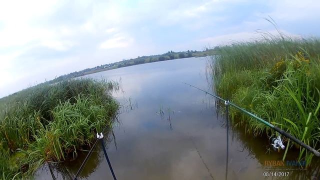 Рыбалка на Реке Брынь вечером и утром смотреть онлайн