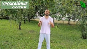 Лечим и используем гнилье с пользой! ГНИЮТ яблоки - ИСПРАВИМ!