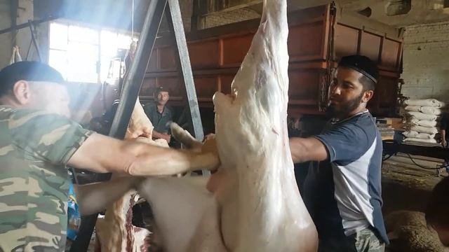 Курбан байрам. Разделка барана от Ашаханова П.С. смотреть онлайн