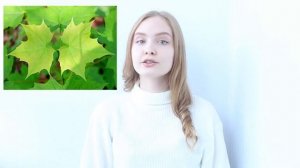 Математика в природе