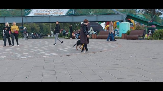 Социальная адаптация и работа щенка в Праздничном городе ☆Их Прекрасный Тандем☆ смотреть онлайн