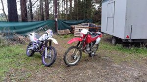 Honda XR250R Vs Yamaha TTR250 open Enduro.