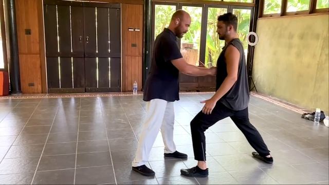 What is Taichi Jin Power Really Like? Sifu Adam Mizner DEMONSTRATES! смотреть онлайн