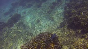 Красный фильтр для подводной съемки.