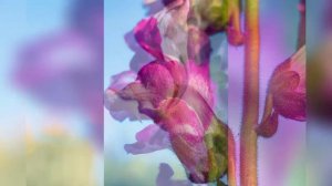 Canon M50 + Индустар 96У