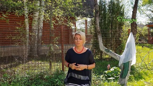 Злость. Чувство злости - это нормально Психолог Виктория Маркелова. Елицы