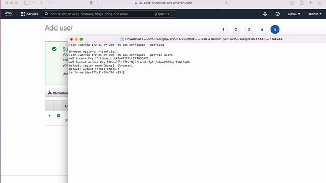 Managing Multiple AWS Accounts with Ease: Configuring AWS CLI Named Profiles смотреть онлайн