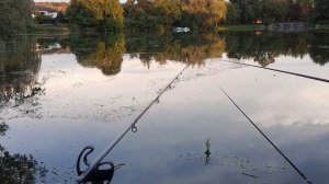 Флэт фидер на леща и карася после сильных проливных дождей. Рыбалка в сложных условиях