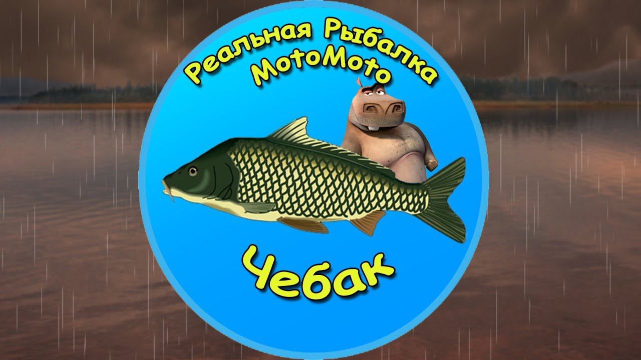 Как поймать Чебака на Братском водохранилище [NEW] | Реальная Рыбалка