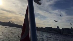 Прекрасный Босфор