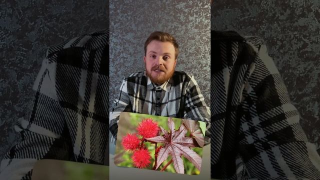 Самые ОПАСНЫЕ РАСТЕНИЯ в мире! #shorts #обучениедетей #интересныефакты