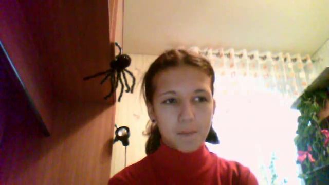 Видео с веб-камеры. Дата: 10 ноября 2013 г., 11:39. смотреть онлайн