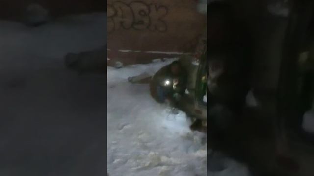 гигантская крыса