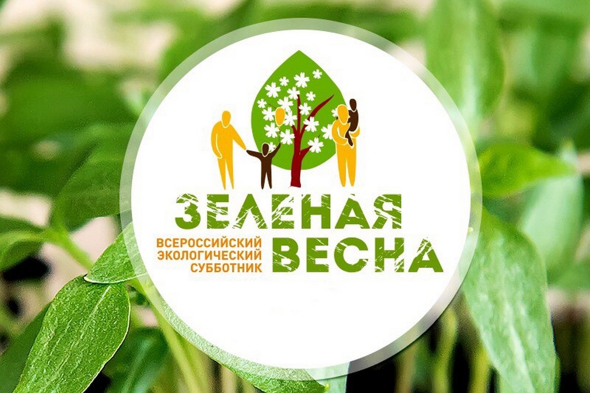 Проект зеленая весна