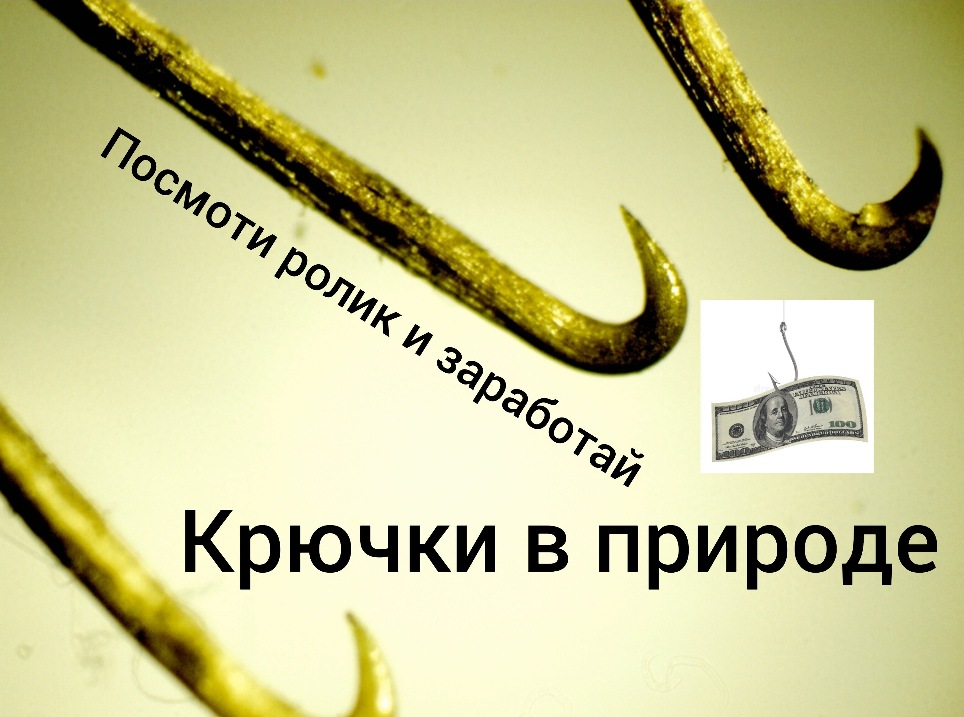 Подгляди у природы