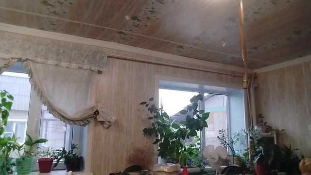 #влогикаждыйдень .