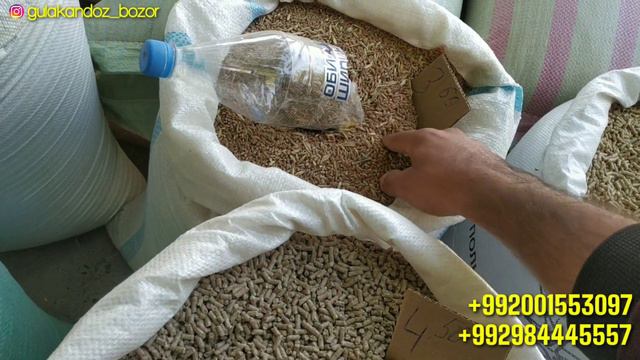 Кунжара Кепак Арпа Бугдой Комбикорм Макка Гушт Ва Бошка Махсулотлар Нархлари Гулакандозда.13.09.202