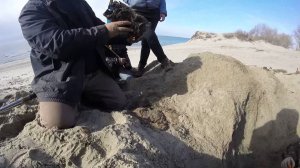 Коп пляжный поиск. Эхо войны 2. garrett 2500 pro