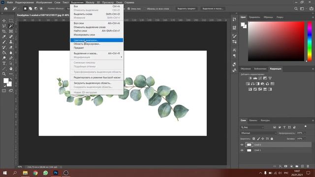 Как удалить фон с картинки в Фотошопе смотреть онлайн