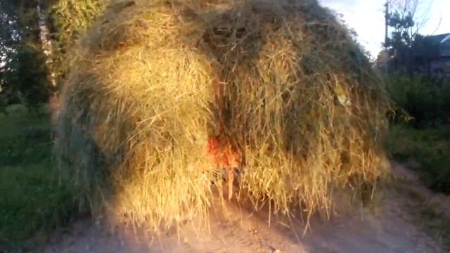 Самоходная копна сена. Мотоблок Агат смотреть онлайн