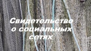О социальных сетях.. (свидетельство)