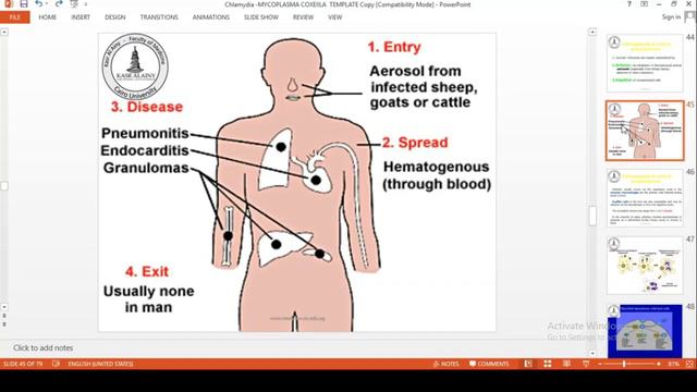 Micro (6). смотреть онлайн