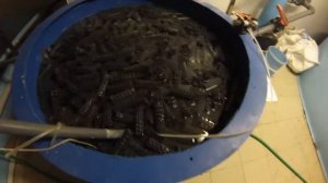 Огромный аквариум изнутри (МегаГринн Белгород)