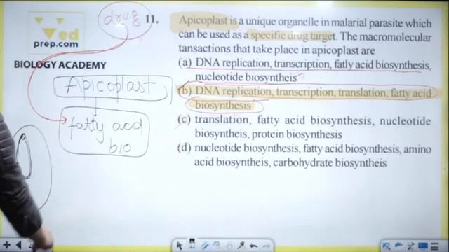 Cell Biology | GATE Special | CSIR NET | IIT JAM | GATE | ICMR | Biology Academy