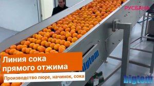 Производительная линия апельсинового сока прямого отжима с розливом