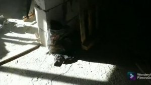 Крепление страпил к мауэрлату и потолочной балке. Просто и надёжно. Двухскатная крыша своими руками