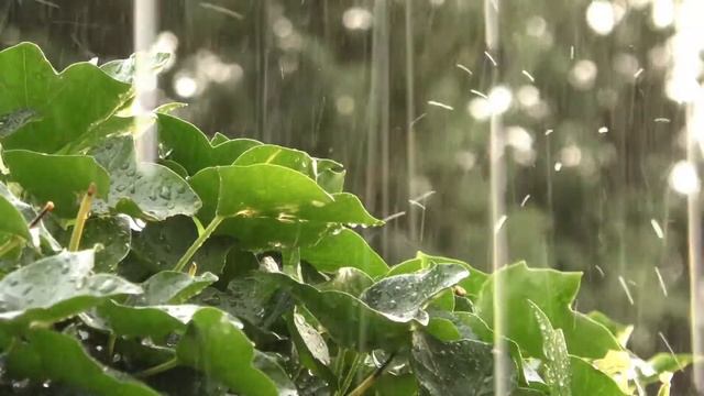 Музыка для засыпания и гроза [Thunderstorm with music for dreams] смотреть онлайн