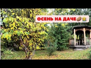 Осень на даче