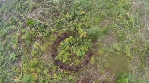 КОП ЧЕРНОГО МЕТАЛЛА. МЕТАЛЛОКОП 2022. КОП ЧЕРМЕТА №66.