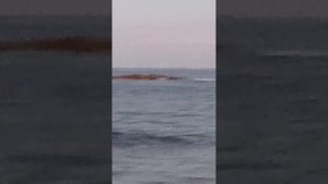 Можно ли купаться на Кипре в декабре?