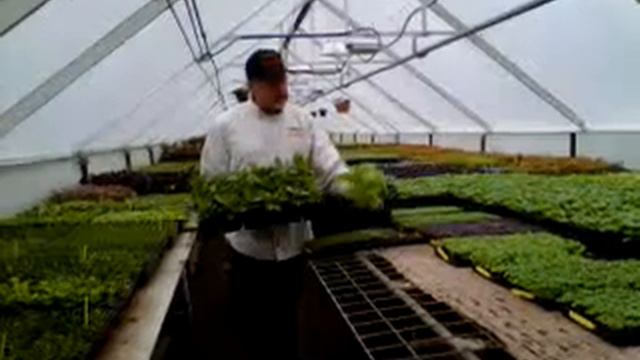 windy meadow nursery2.3GP смотреть онлайн