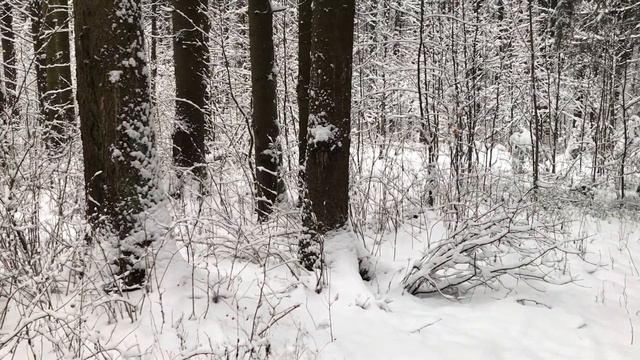 ЭТА МАЛЕНЬКАЯ ДЕТАЛЬ В МАШИНЕ ЖЕНЫ, ВЫВЕЛА ЕЁ НА ЧИСТУЮ ВОДУ.Жизненные поучительные истории из жизн