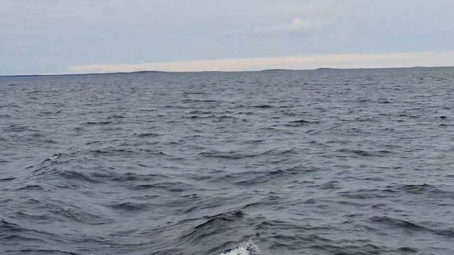 Едем на Соловки.  Белое море.
