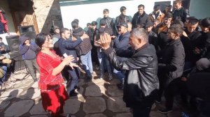 Туя кафонд раккоса 2023