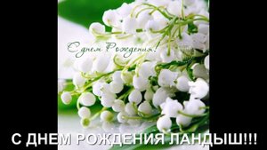С ДНЕМ РОЖДЕНИЯ ЛАНДЫШ!!!