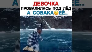 Зов предков.  Девушка провалилась под лёд, а собака помогла рискуя жизнью