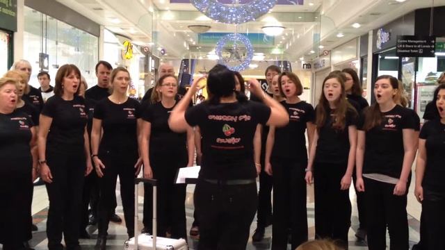 cherry pie choir 25/11/2011 смотреть онлайн