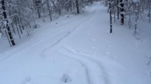 Охота на глухаря с подхода