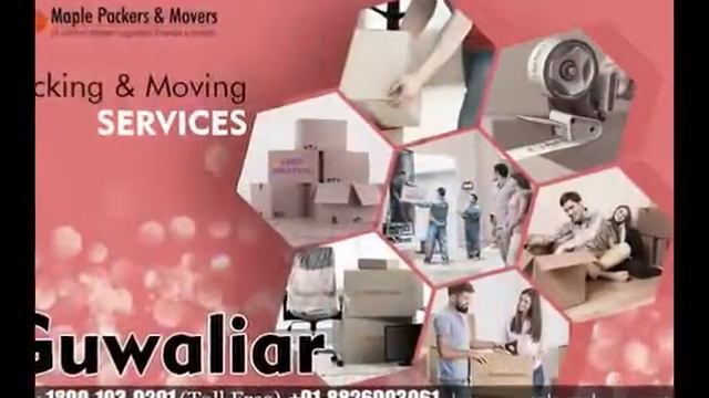 Packers and Movers | Maple Packers and Movers | Packers and Movers Service provider смотреть онлайн
