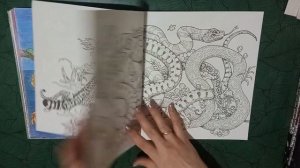 Обзор на коллекцию раскрасок от Керби Розанес. Законченные работы  в Аниморфозах.